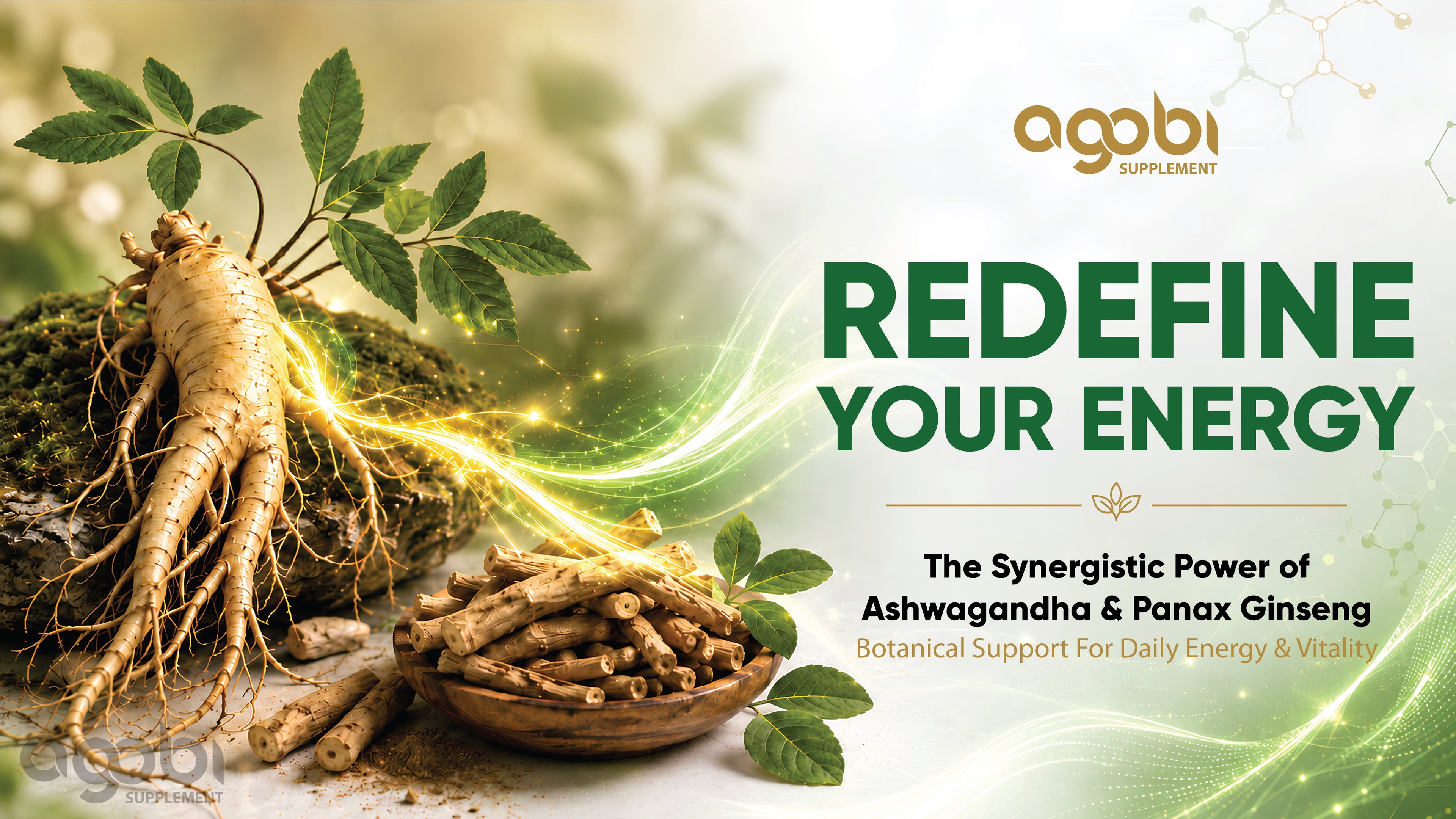 BLOG #12: Ashwagandha and Ginseng for Male Energy and Stamina: The Ultimate Science-Backed Synergy
