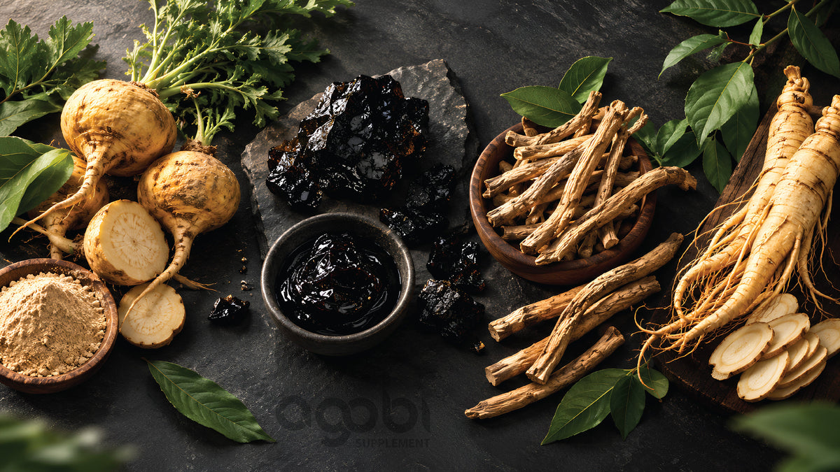 BLOG #26: Maca Root vs. Shilajit for Energy, Stamina, and Performance: Which Is Better? (Or Should You Take Both?)