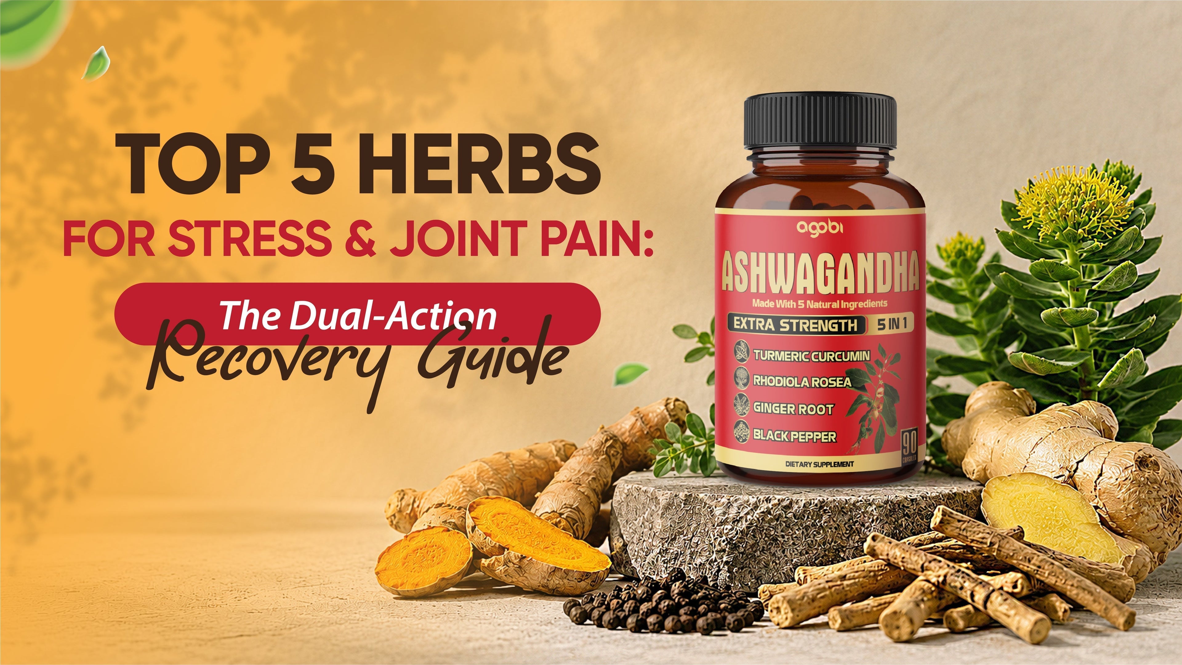 BLOG #6: Top 5 Herbs for Stress and Joint Pain: The Dual-Action Recovery Guide