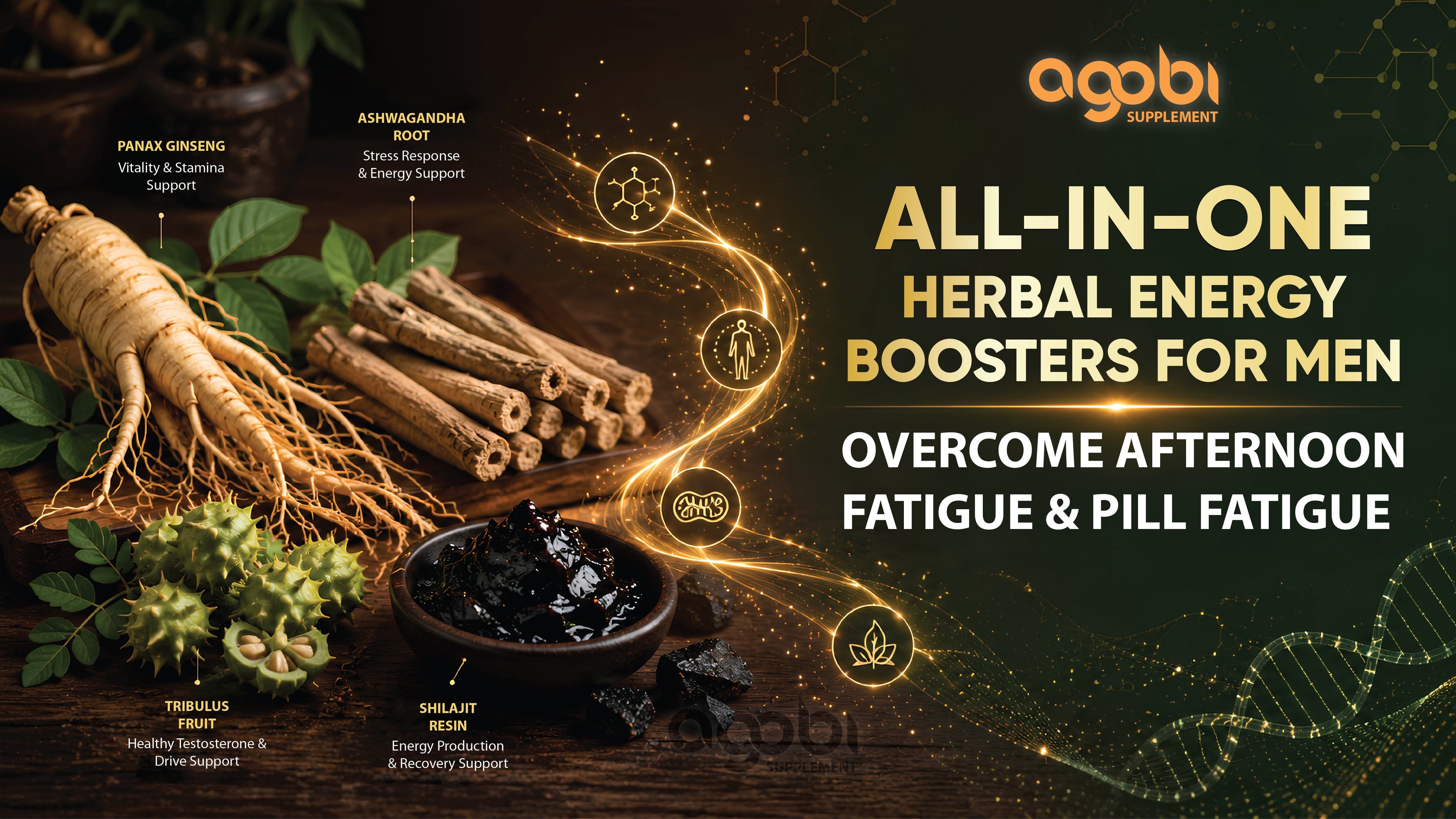 BLOG #13: Ashwagandha and Ginseng for Male Energy and Stamina: The Ultimate Science-Backed Synergy