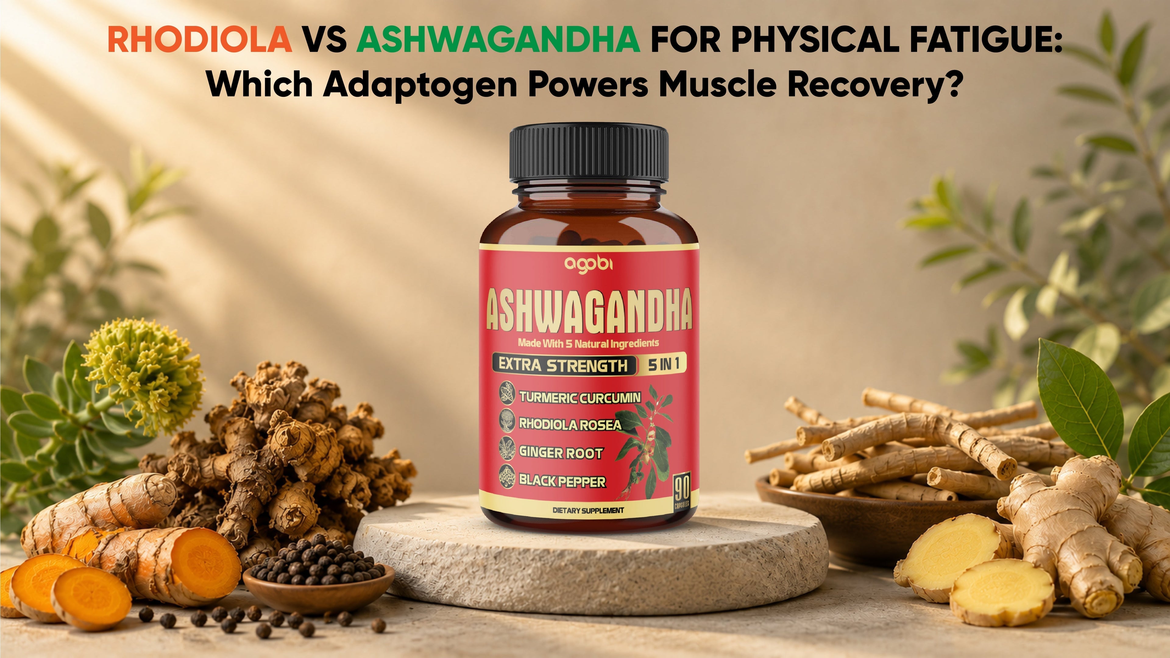BLOG #7: Rhodiola vs Ashwagandha for Physical Fatigue: Which Adaptogen Powers Muscle Recovery?