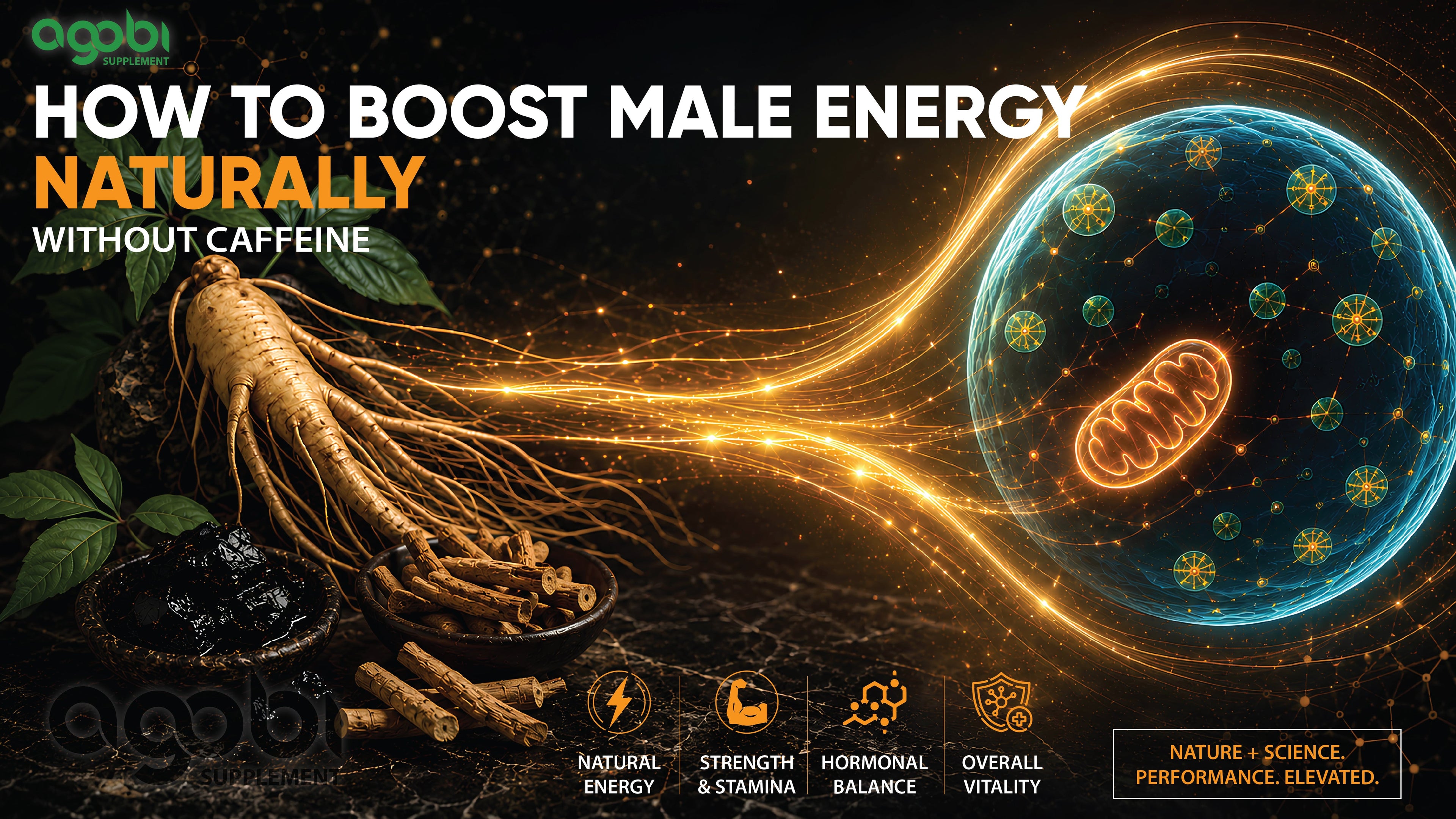 BLOG #14: How to Boost Male Energy Naturally Without Caffeine: The Science of Restoring Cellular Stamina