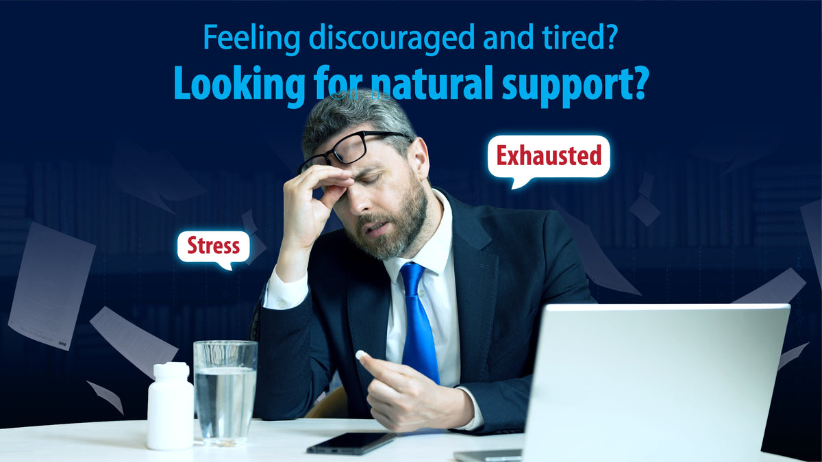 BLOG #3: Taking Ashwagandha and Turmeric Together: The Science-Backed Benefits for Stress and Recovery