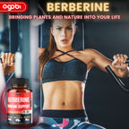 Agobi 25-in-1 Berberine Supplement – Premium Berberine HCl with Ceylon Cinnamon, Milk Thistle & Turmeric | 60 Vegan Capsules
