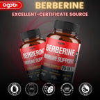 Agobi 25-in-1 Berberine Supplement – Premium Berberine HCl with Ceylon Cinnamon, Milk Thistle & Turmeric | 60 Vegan Capsules