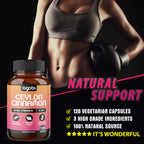 Agobi 3-in-1 Ceylon Cinnamon Complex – With Ginger & Turmeric | 120 Veggie Capsules